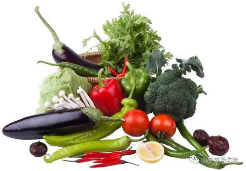 山亭區(qū)市場監(jiān)管局發(fā)布“一老一小”食品安全消費(fèi)警示，提醒市民關(guān)注特殊群體飲食安全